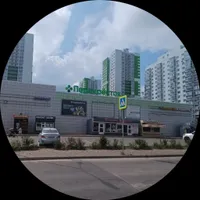 Светлана Неупокоева