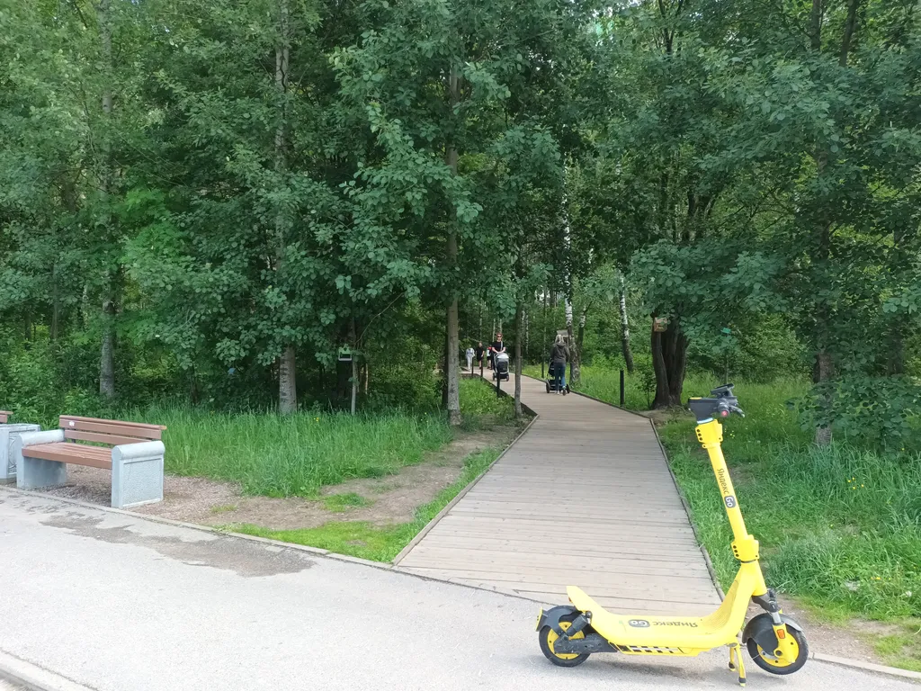 Высоко у парка Оккервиль