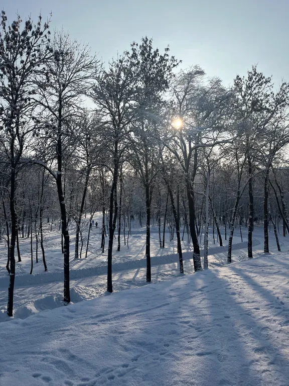 Дом у озера в 10 минутах ходьбы от центра города
