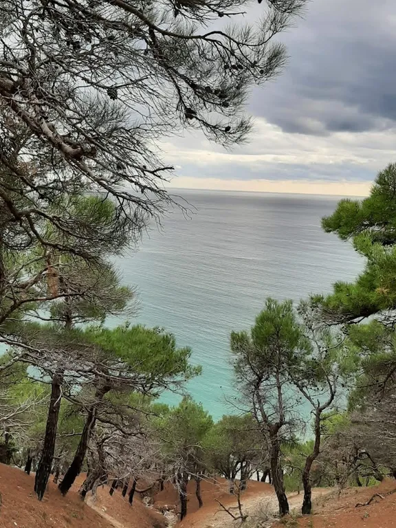 Видовая уютная студия рядом с морем