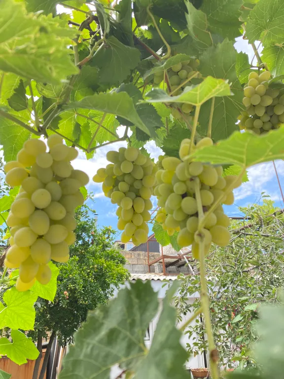 Коттедж Гостеприимный дом в исторической части ДЕРБЕНТА — Дербент