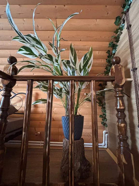 Коттедж с термальной водой