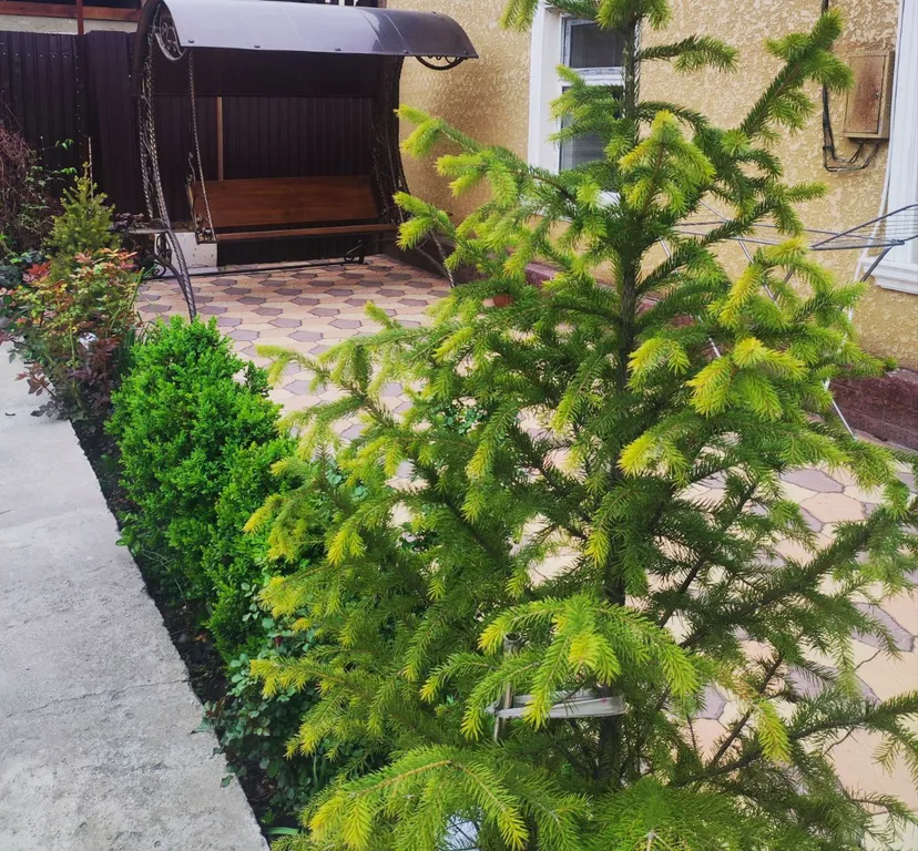 Уютный дом с садом рядом с центром города