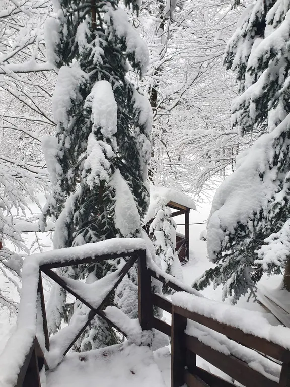 Коттедж Уютный гостевой домик в Архызе — Архыз