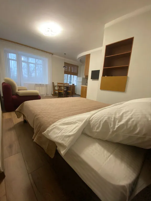 Квартира Квартира Уютная студия в центре — Ярославль