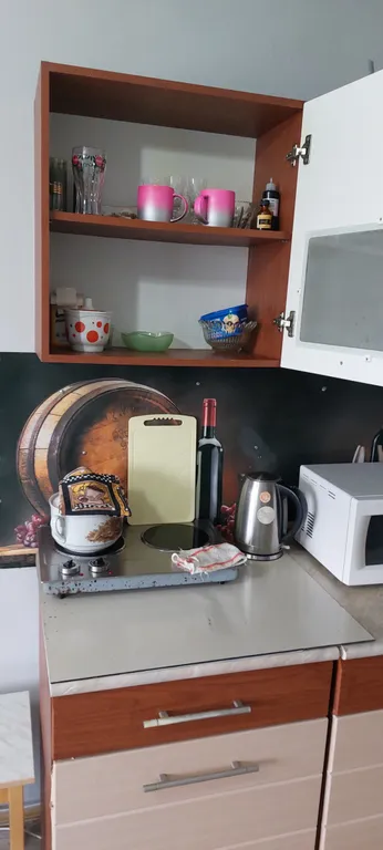 Уютная гостинка на Столетии