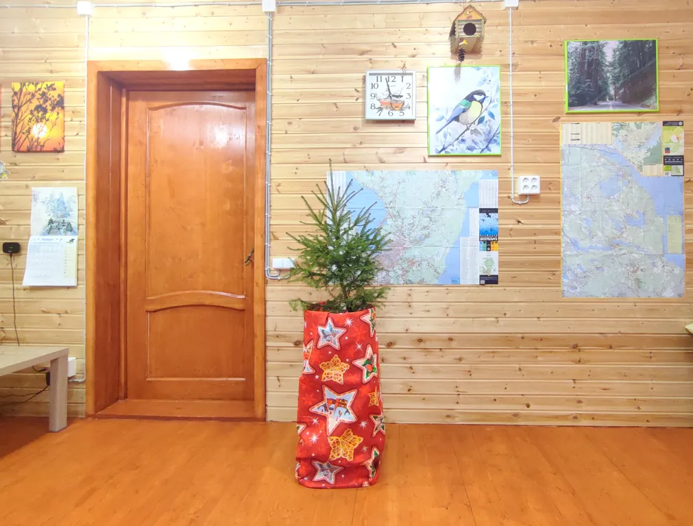 Птица синица House с огромным балконом у озера