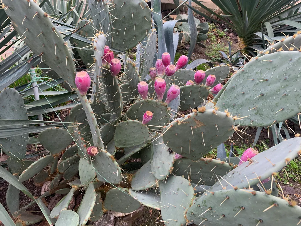 MilayDom-2-х этажный 2-х комнатный дом с вашей придомовой территорией