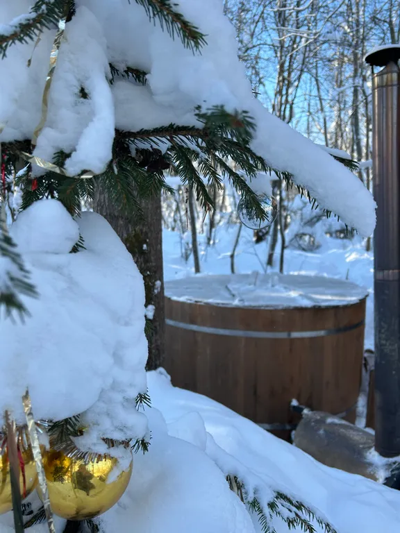 Загородный дом для отдыха