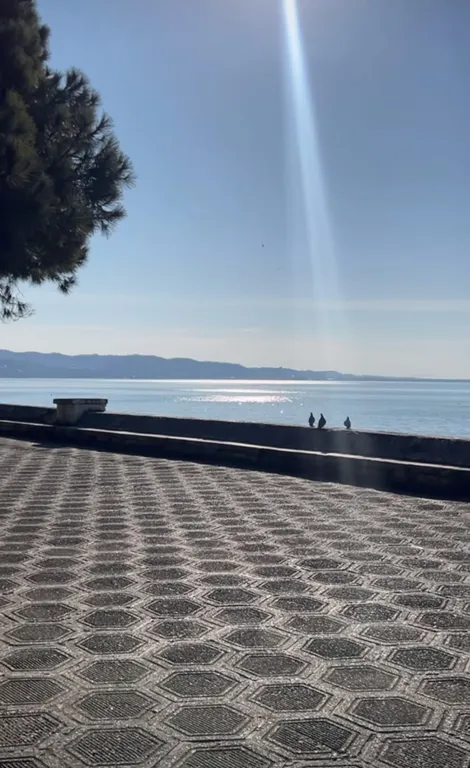 Уютный большой гостевой дом