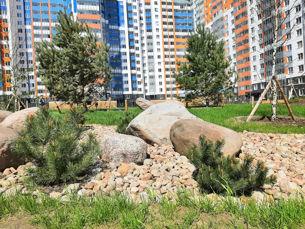 White nights apartments