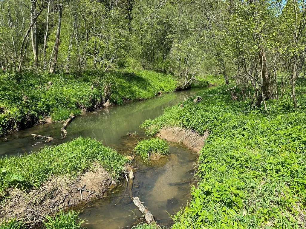 Желтый домик в лесу на Живописной улице