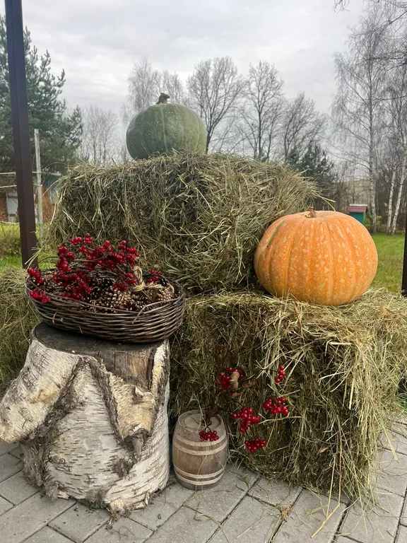 Коттедж Уютный дом ждет вас — Кашира