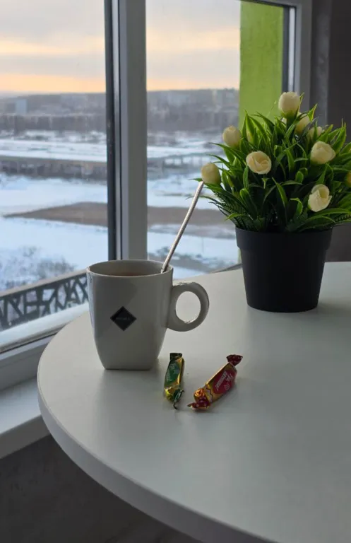 Квартира Квартира-люкс с шикарным видом на город — Курск