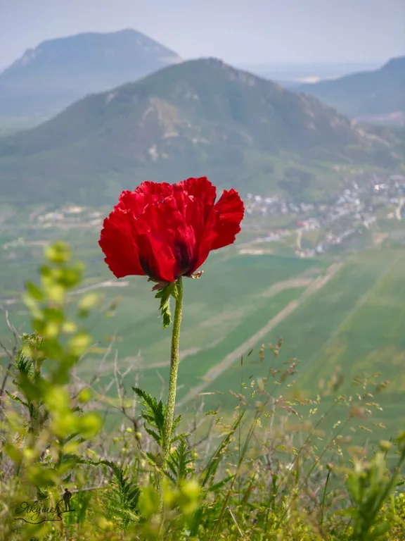 Уютная 1-комнатная квартира в центре города