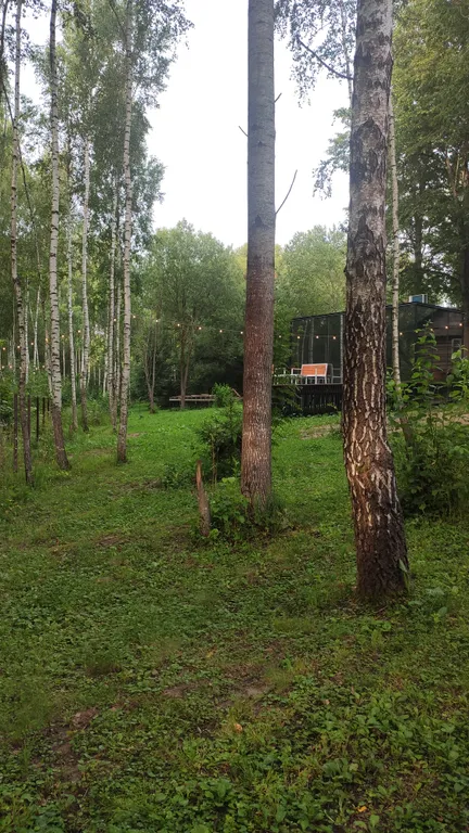 Дом в лесу с панорамным видом