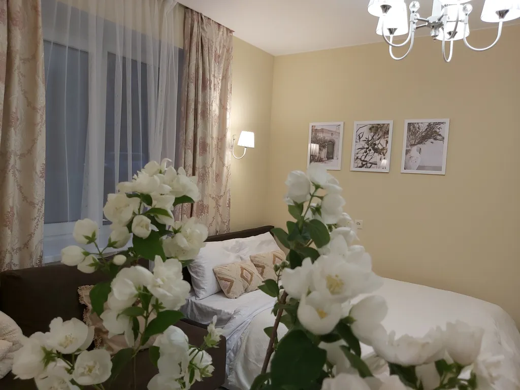 Дизайнерская студия у моря Солнечный акцент