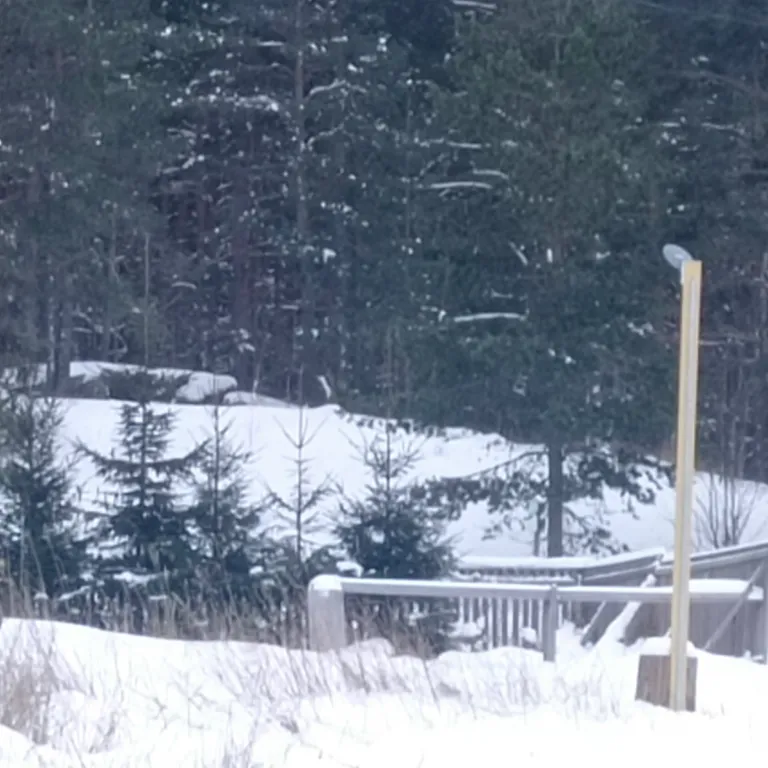 Современный дом на берегу Ладоги