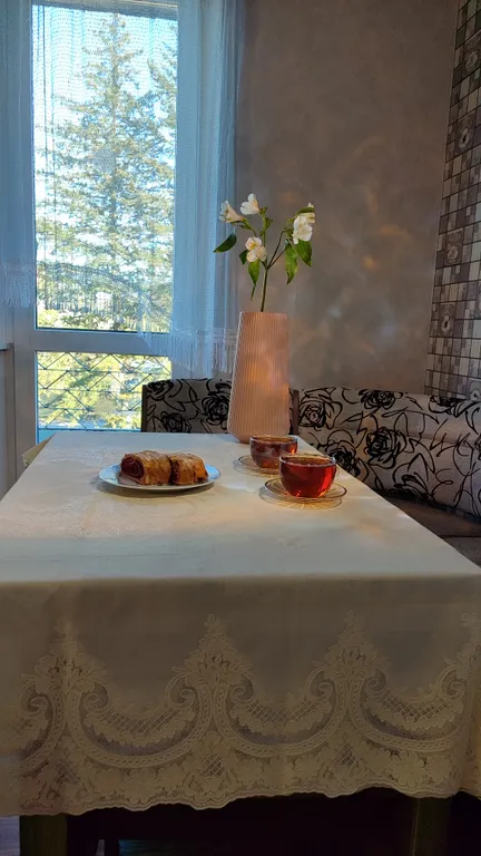 1-комнатная квартира с прекрасным видом