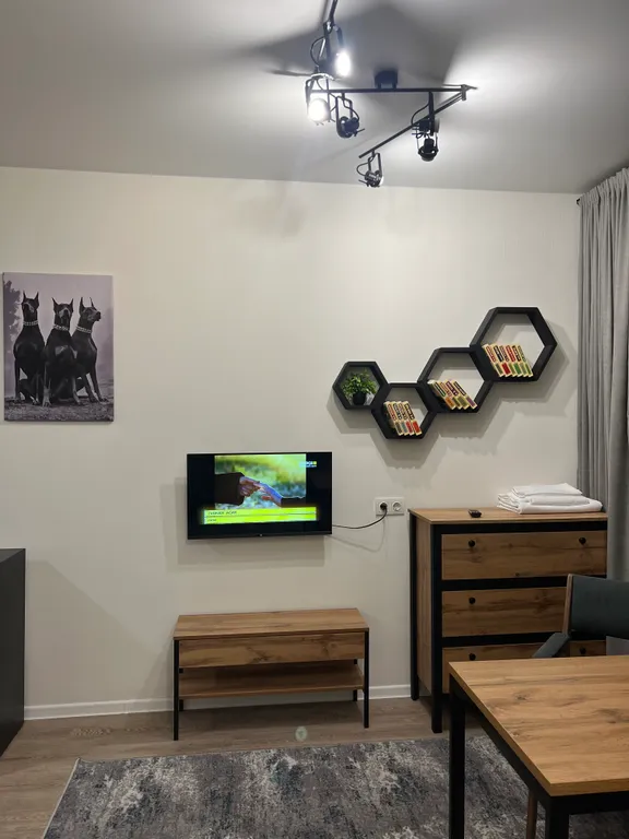 Квартира Студия в стиле Лофт в ЖК Пригород Лесное — Мисайлово