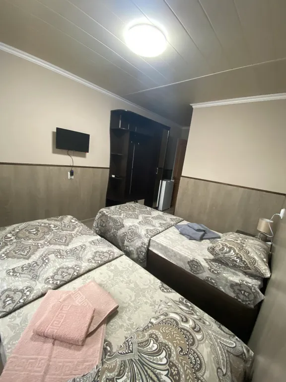 Уютный номер с двумя отдельными кроватями