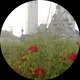 Алёна