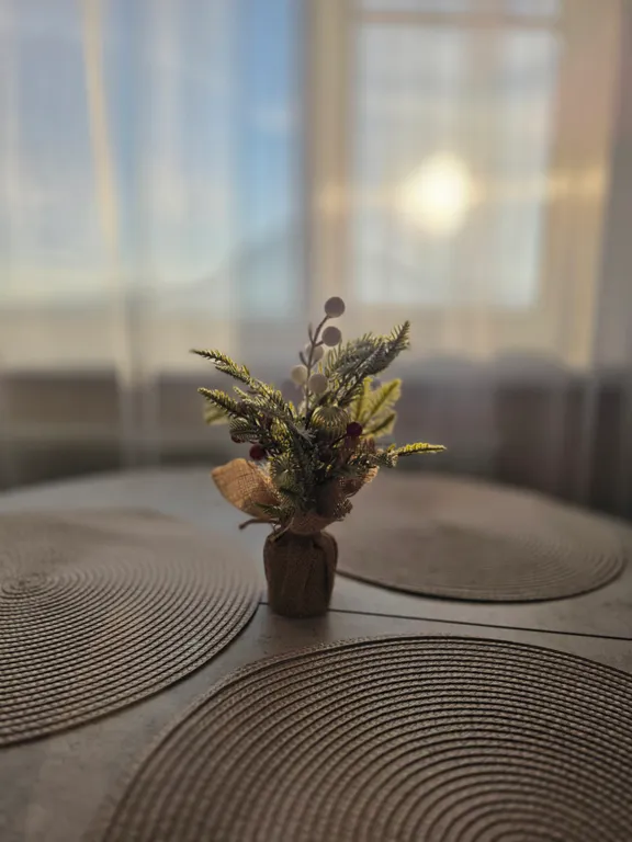 Квартира в центре города в 5 минутах от аэропорта