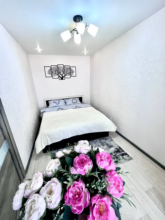 Квартира на силуэте