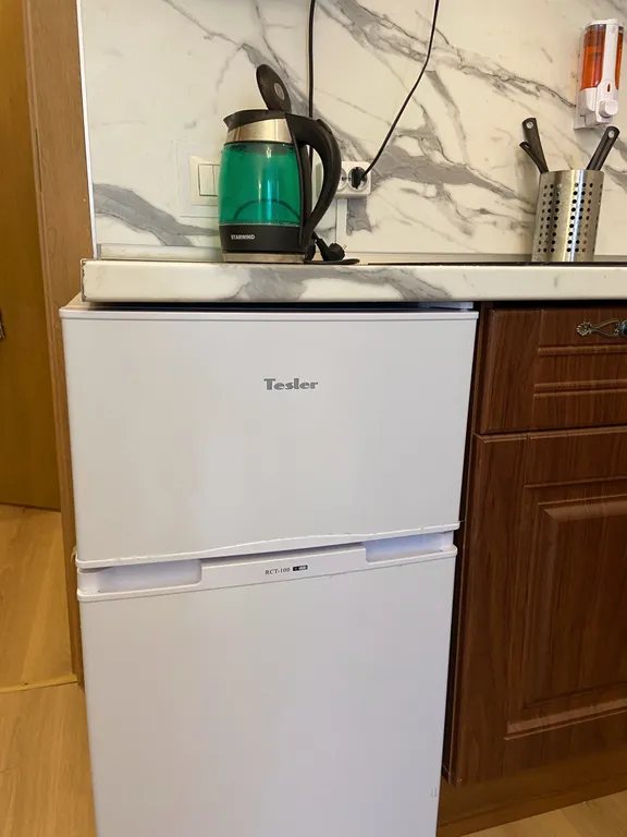 Квартира Квартира Студия в Песочном/уютно как дома/зеленый район/рядом озера, залив — Песочный