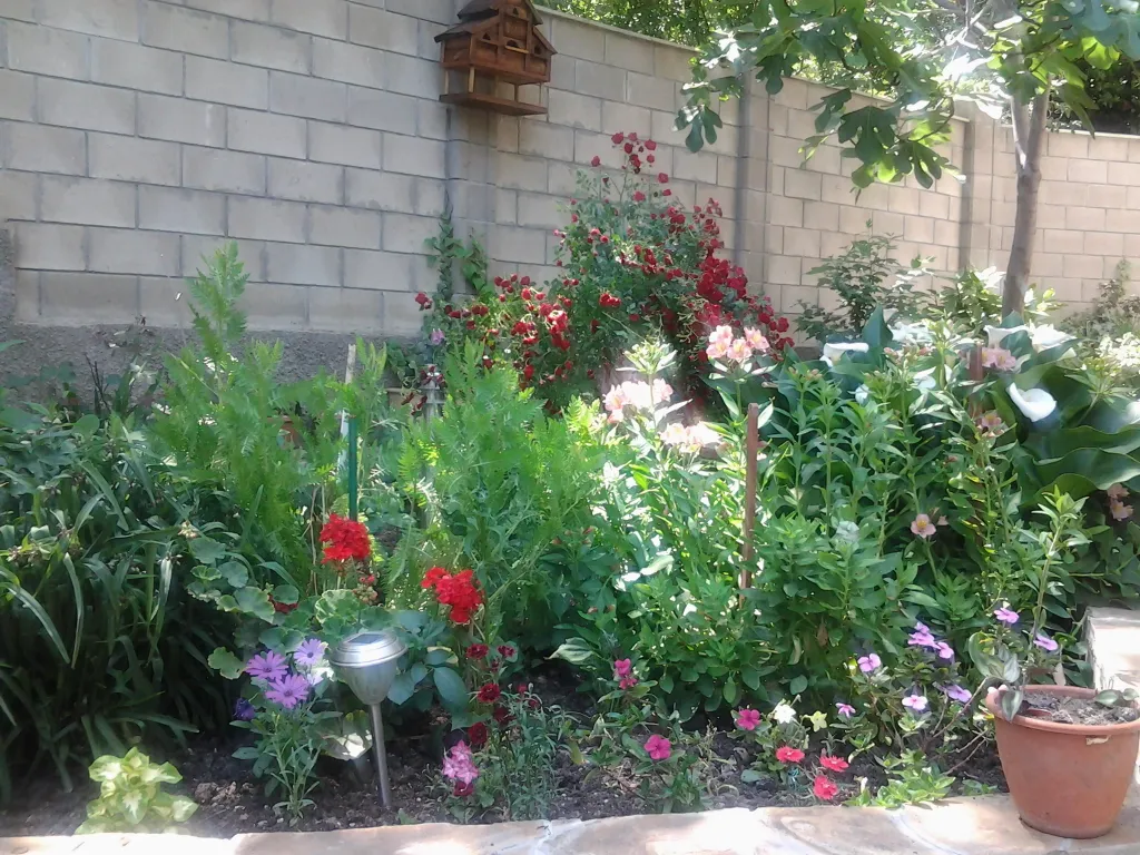 Квартира Комната — Кацивели