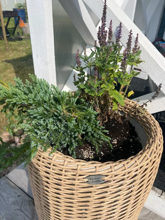 Новый уютный дом с отдельной территорией в центре города.