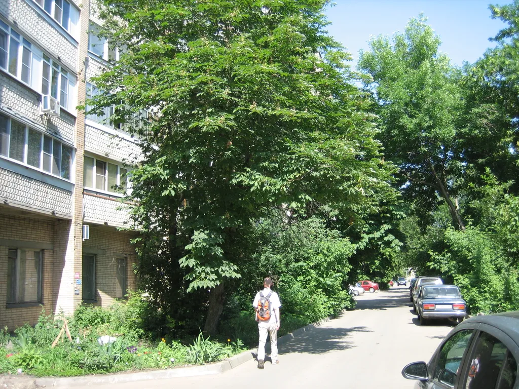 1-комнатная Квартира