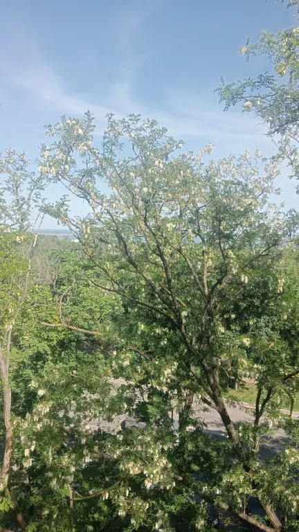 Тихая, уютная квартира в Приморском районе, рядом с городским пляжем