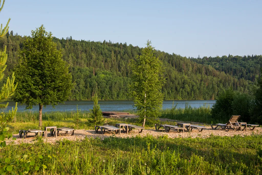 Шале посреди молодого сосново-березового леса