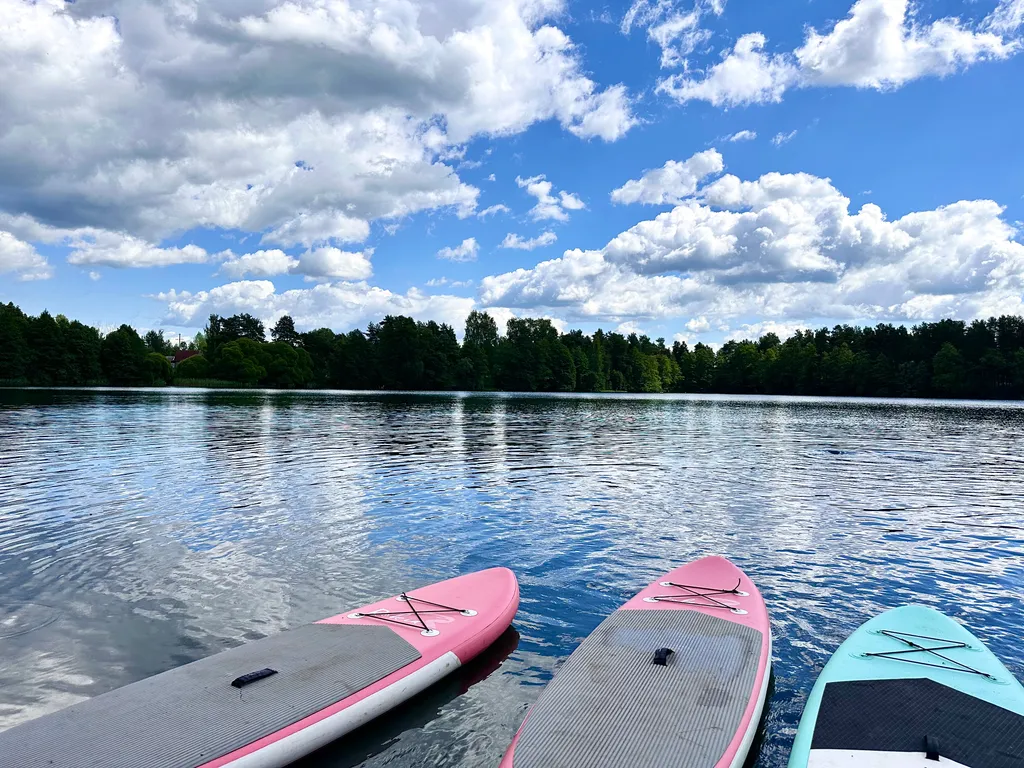 Коттедж Уютный домик в сосновом лесу — Кириши