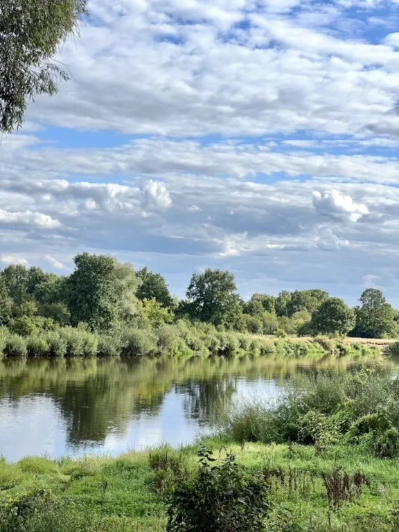 Вилла Art -house