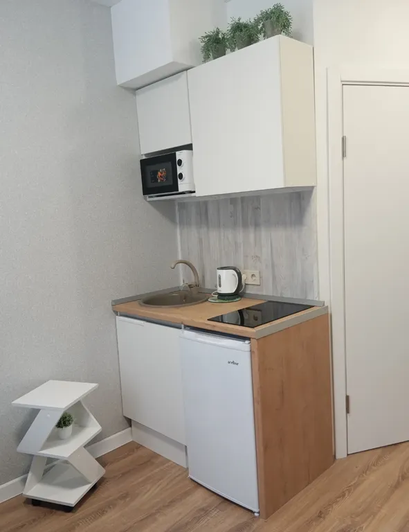 Уютная студия в зелёном районе Москвы