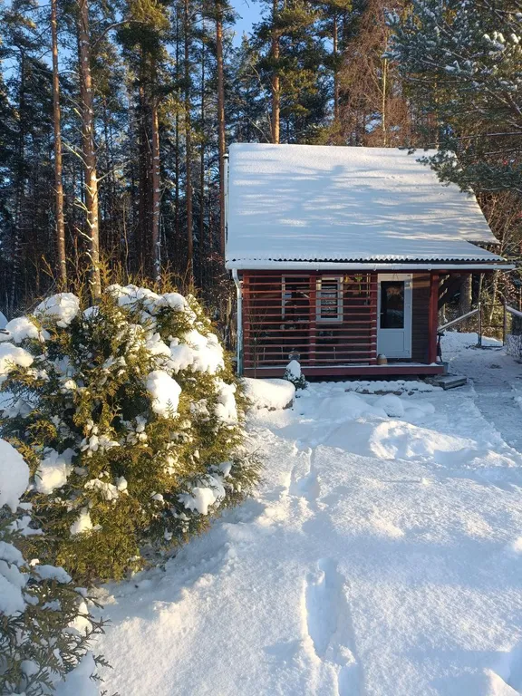 Коттедж 4-комнатный Дом — Санкт-Петербург