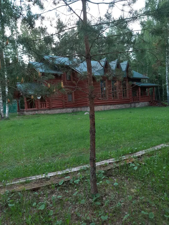 Лесная сказка