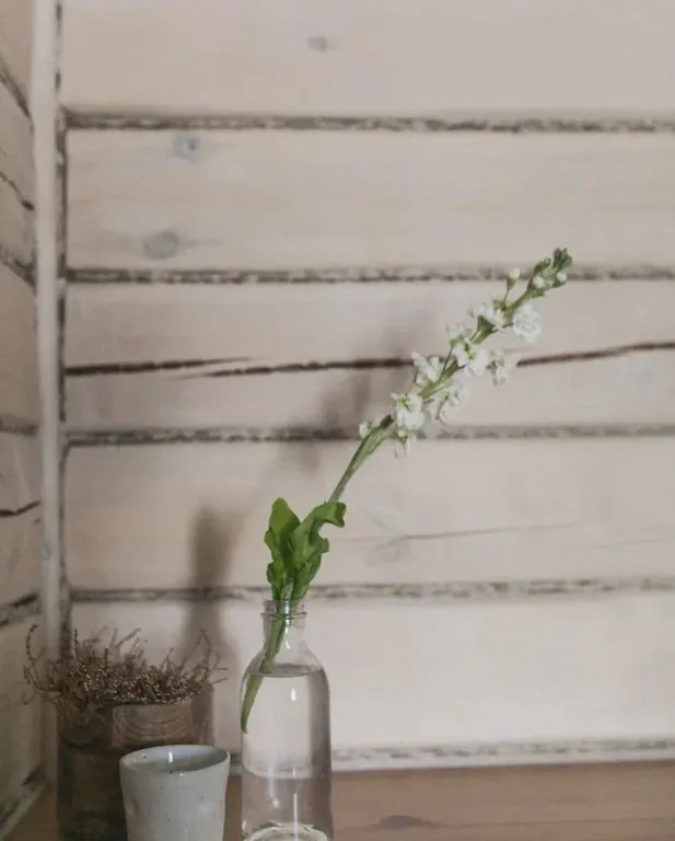 Риза Раек уютный апартамент в центре Суздаля