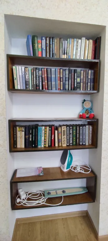 Приют Дризена