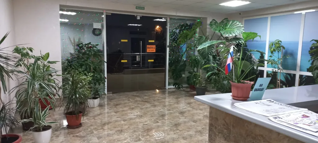 Морская студия Чайка
