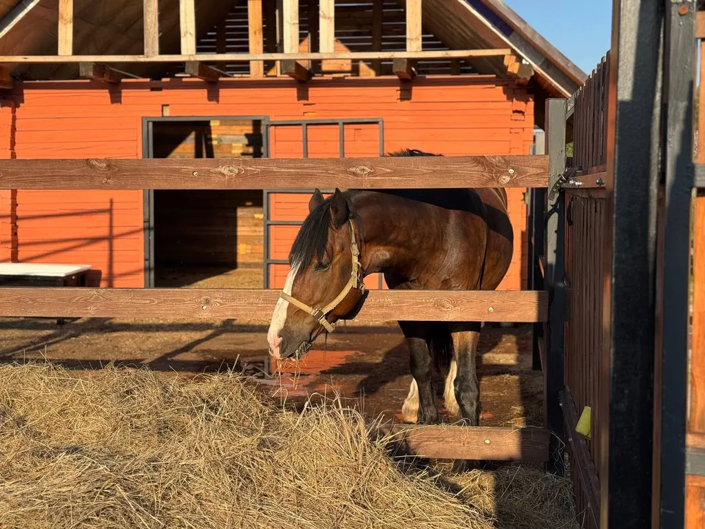 Гостевой дом с конюшней