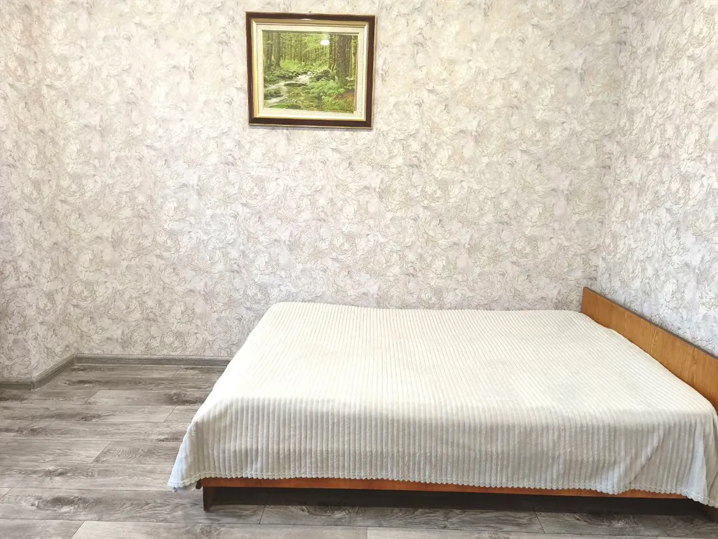 Трехкомнатная квартира вблизи Сквера Энтузиастов