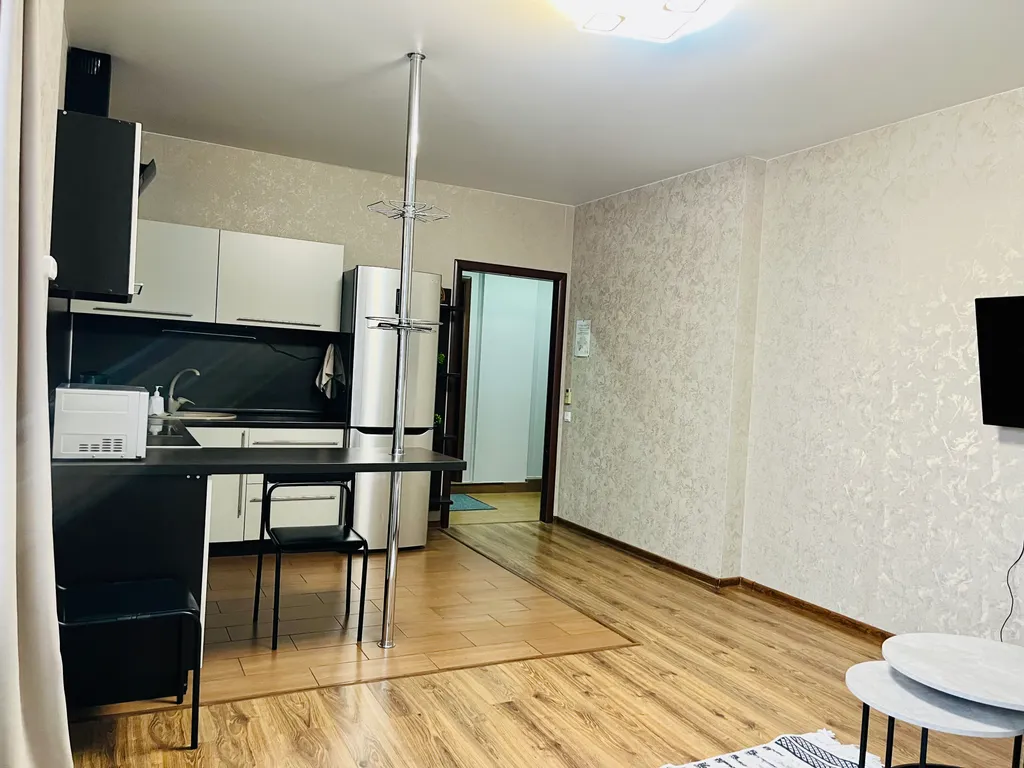 Квартира у Галереи Чижова