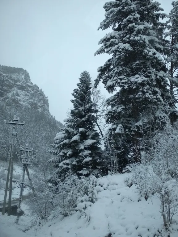 База отдыха Архыз Форест Эко