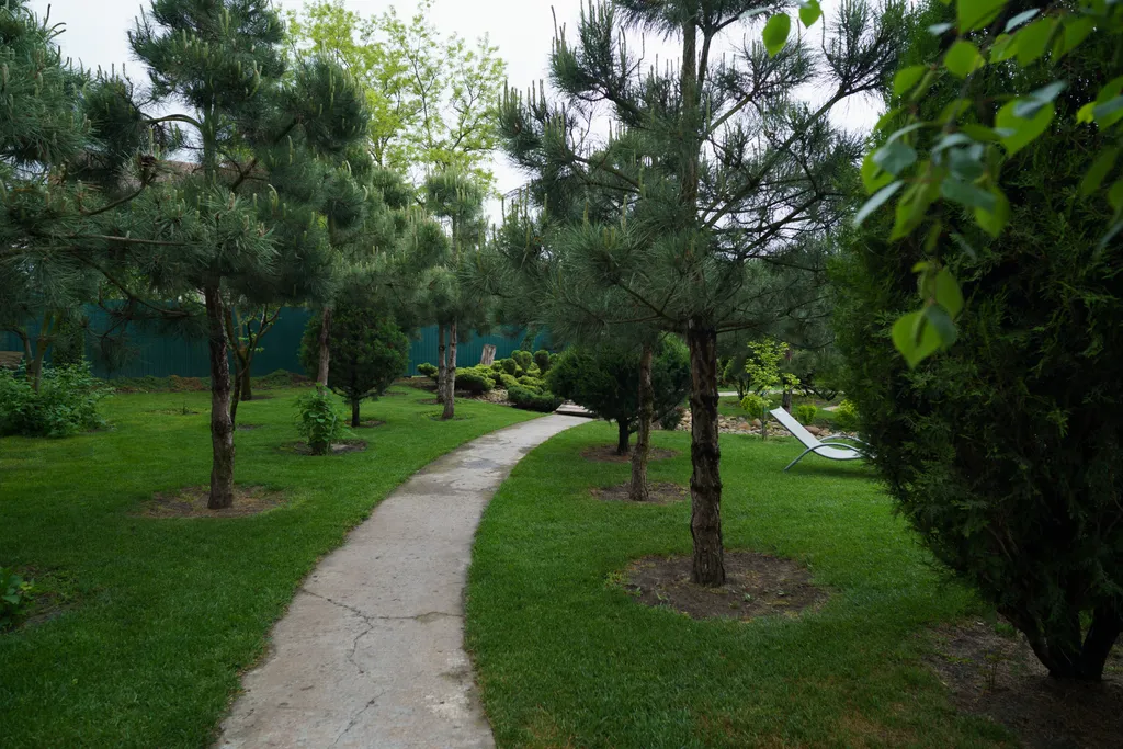 Загородный дом-шале "Pinebrook", аренда, у реки Дон. Сезонный бассейн.