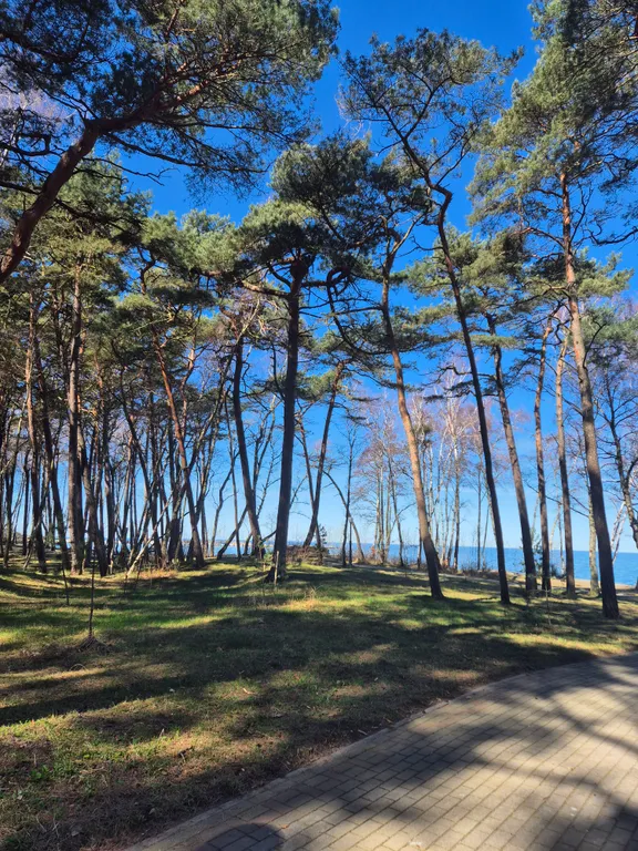 Пионерский курорт уютная новая квартира на побережье Балтийского моря