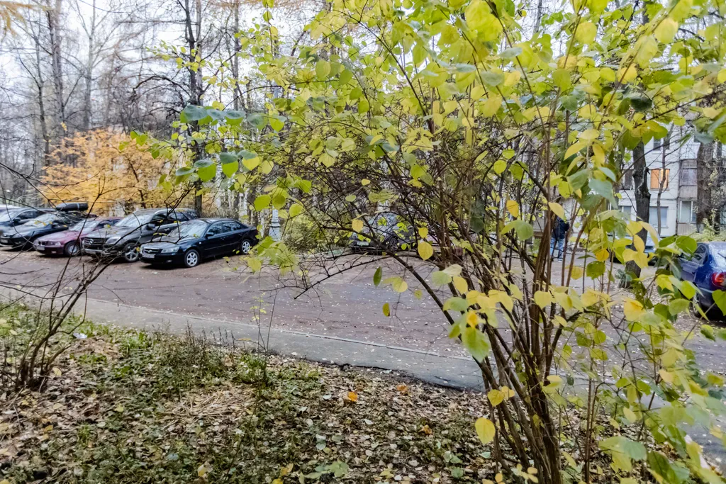 Квартира Уютная квартира у Профсоюзной — Москва