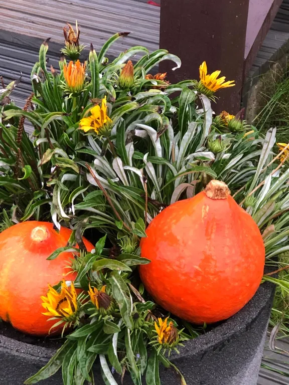 Домик в Карелии